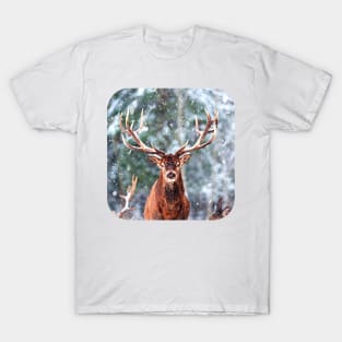 Reindeer Snow Time T-Shirt